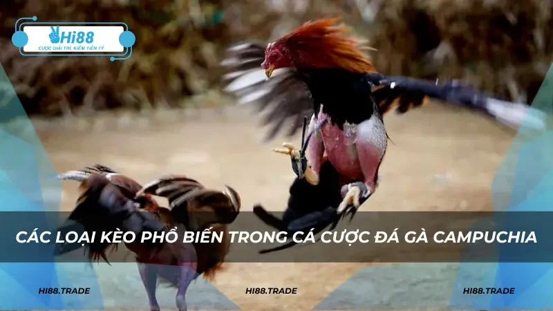 Các loại kèo phổ biến trong cá cược đá gà Campuchia