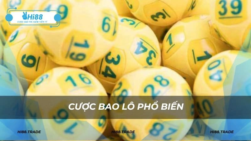 Cược bao lô phổ biến