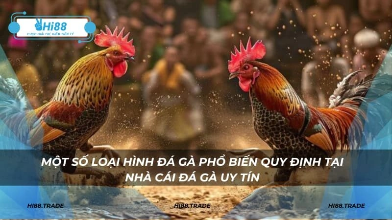 Một số loại hình đá gà phổ biến quy định tại nhà cái đá gà uy tín