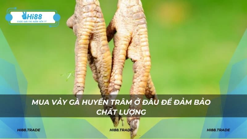 Mua vảy gà Huyền Trâm ở đâu để đảm bảo chất lượng