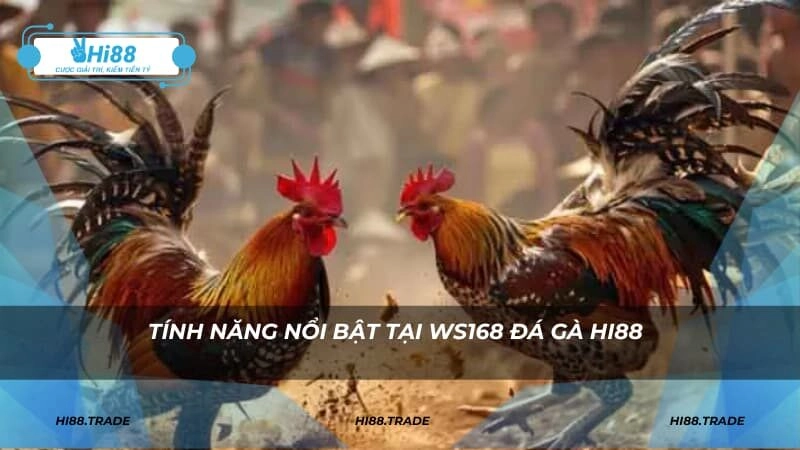 Tính năng nổi bật tại WS168 đá gà HI88
